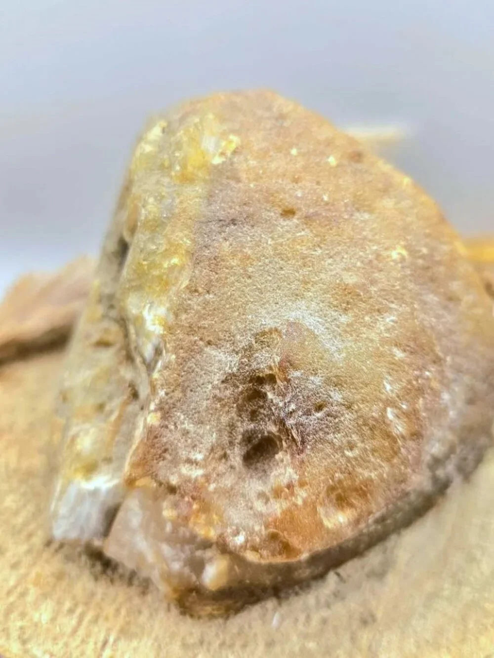 Natural Quartz Druzy Geode Specimen